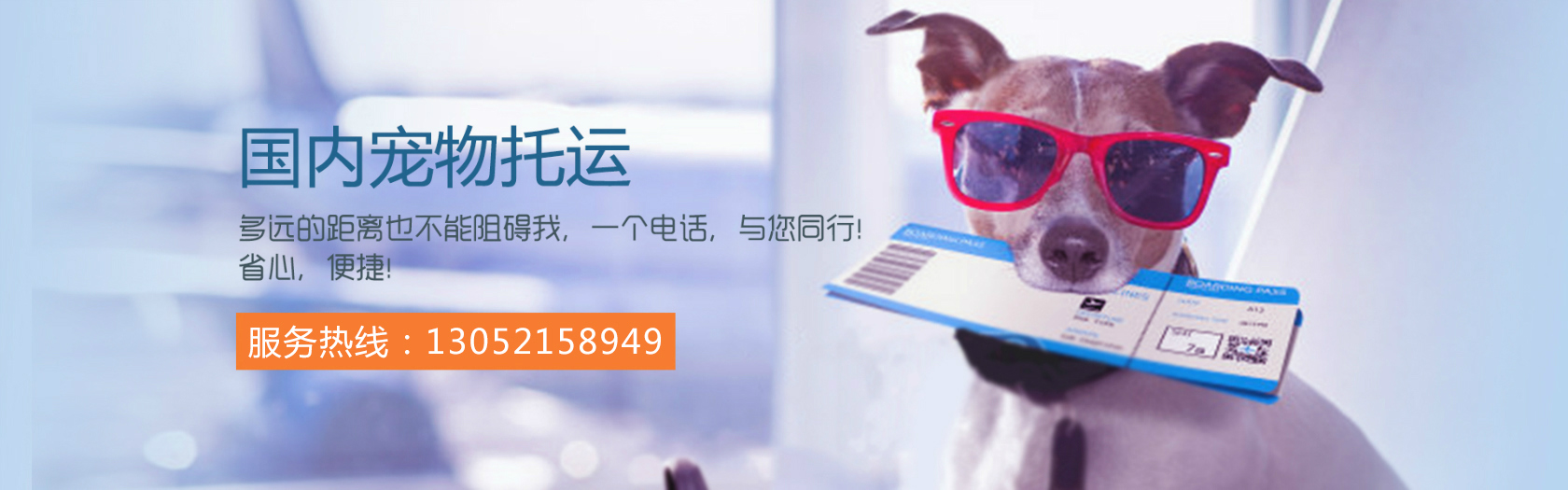 图片播放器测试