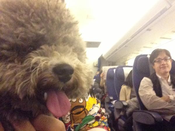 各国出入境法规