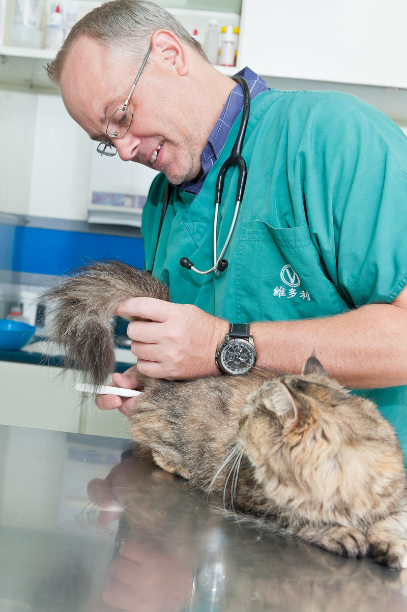 是否需要镇静剂？